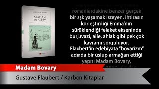 Madam Bovary [upl. by Angelia245]