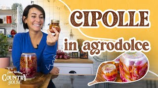 Come preparare le cipolle in agrodolce  Erica Liverani [upl. by Dahsraf]