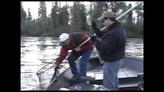 Kenai River Fishing Report  King Salmon  KTUU with John Carpenter 1998 [upl. by Ario417]