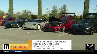 Corvette Channel at Corvette Fest on Channel 31 News [upl. by Krall]