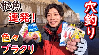 【茨城県】色んなブラクリで冬の穴釣りしたら根魚連発しました！ [upl. by Retha]