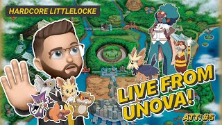 An Early Game Normal Type Face Off  Pokémon Black Littlelocke hardcorenuzlocke nuzlocke pokemon [upl. by Eemia]