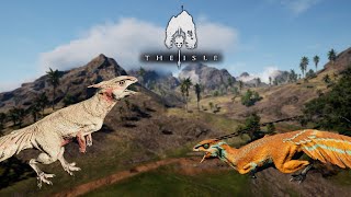 Hypsi Adventure Begins  The Great Hypsi Colony Part 1  Hypsilophodon Gameplay  The Isle Evrima [upl. by Ecirtram983]