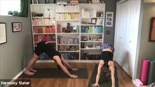 Half Primary Series Practice  Guided Ashtanga Yoga [upl. by Ayadahs292]