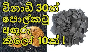 how to make coconut charcoal at home [upl. by Elkin]