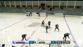 LTV Action Sports  LHS Boys Ice Hockey vs Nashoba 13023 [upl. by Lorou]