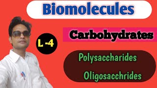 Carbohydrates  polysaccharides  Biomolecules ch9 [upl. by Ardnwahsal614]