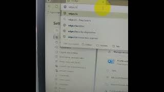 Microsoft Edge setting Microsoft [upl. by Hollis]