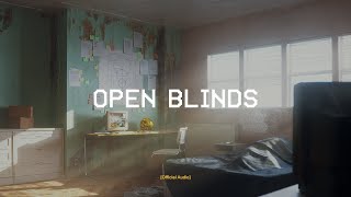 DROELOE  Open Blinds Official Audio [upl. by Eisej487]