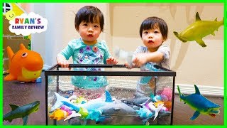 Emma and Kate Learn about Sharks and colors while singing Baby Shark Song [upl. by Glorianna]