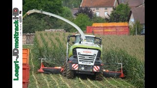 Ensilage de Maïs 2017  NEW Claas Jaguar 950 amp Kemper 375 Plus [upl. by Wardlaw]