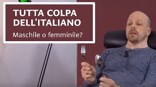 Italiano per anglofoni  Tutta colpa dellitaliano Posate [upl. by Aurilia401]