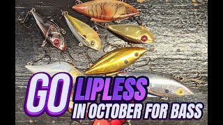 Go Lipless For Bass In October [upl. by Ttenrag]