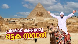 ഒട്ടക സവാരി  വിചാരിച്ച പോലെയല്ല  പണി പാളി  Travel Vodcast  EGYPT 06 [upl. by Feune]