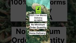 All India Delivery earthworm farming farmer organicfarming vermicomposting [upl. by Orvie]