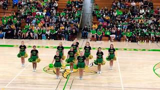 2019 Janesville Parker Homecoming Assembly Cheer Performance [upl. by Ecilahc655]