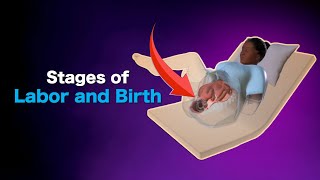 Stages of Labor Explained What to Expect During Childbirth  Labor amp Delivery Guide [upl. by Ralyat]