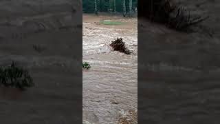 Water coming onto Mt Mitchell golf course Friday morning at my house in Burnsville NC helene [upl. by Aihsatal]