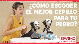 ¿Cómo escoger el mejor cepillo para tu perro✅ [upl. by Ebneter]