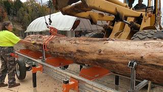 Norwood lumberpro HD36 v2 sawmilling large pine logs [upl. by Penhall]