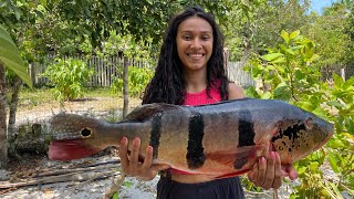 PESCANDO TUCUNARÉ DE LINHA DE MÃO tucunaré pesca amazonas [upl. by Oria]