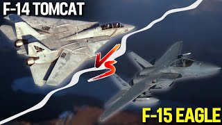 F14 Tomcat vs F15 Eagle  2 Most Dominant Fighter Jets Ever  Cold War Heros [upl. by Apilef]