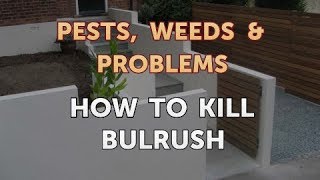 How to Kill Bulrush [upl. by Finbur]