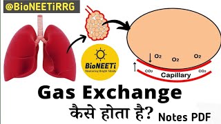 Gas Exchange External amp Internal Respiration Biology NCERT NEET L6 [upl. by Mok]