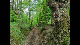 La grande boucle de Sargé lèslemans [upl. by Nniuq]