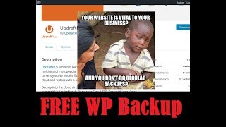 How to Backup Your Wordpress Website  Free WP Plugin Offsite Remote Backup [upl. by Hu772]