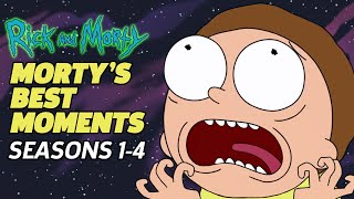 RICK AND MORTY The Mortyest Moments EVER Seasons 14 [upl. by Irmgard]