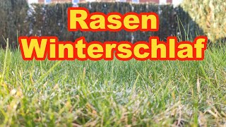 Rasen in den Winterschlaf schicken Das braucht euer Rasen jetzt [upl. by Yantruoc]