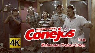 Internacionales Conejos feat Malacates Trebol Shop  Todo Se Pagara 4K [upl. by Colpin]