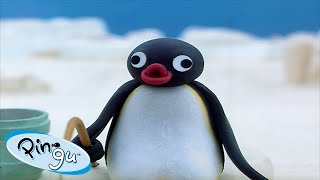 Best Episodes from Season 3  Pingu  Official Channel  Cartoons For Kids [upl. by Jaan]