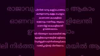 Pinnil vannu kannu potham  song lyrics  malayalam song lyricsvideo [upl. by Zoilla]