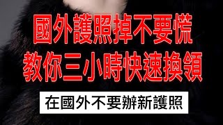 護照掉了不要慌 教你快速換領 入台證明 只要三小時就能順利回家 出國 旅行 護照 遺失 快速 回家 台灣 台灣人 生活 知識 科普 教學 正宮駕到 奇蹟梅子 [upl. by Eentroc470]