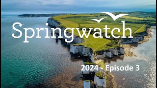 Springwatch 2024 Episode 3 [upl. by Neelear]