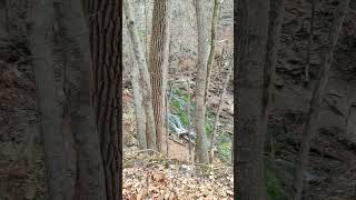 Dunning spring waterfalls Iowa [upl. by York]