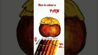 Palm Drawing  Easy palm drawTal Drawing  How to draw Palm step by step  তাল আঁকা শিখি সহজ নিয়মে [upl. by Marlie]