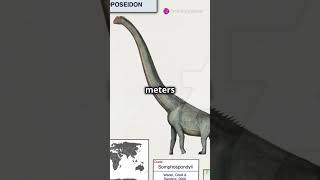 Sauroposeidon The North American Sauropod science shorts facts dinosaur oklahoma 🇺🇸 [upl. by Naesed387]