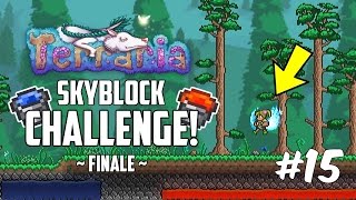 Terraria 13 SKYBLOCK CHALLENGE  Custom Modded Map Challenge  Part 15  FINALE [upl. by Sseb]