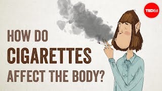 How do cigarettes affect the body  Krishna Sudhir [upl. by Ellicul]