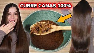 TIÑE TU CABELLO SIN QUÍMICOS DE MARRON Y ELIMINA TUS CANAS 100 [upl. by Niamjneb819]