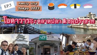 Family trip in TokyoJapanVLOG🇯🇵EP5 โอดาวาระ Odawara fish market Odawara castle [upl. by Elvin582]