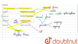 Phycomycetes are characterised by [upl. by Meesak]