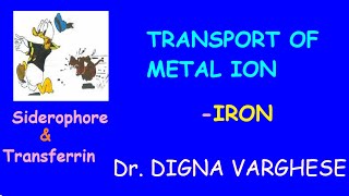 TRANSPORT OF METAL IONSIRON SIDEROPHORE  TRANSFERRIN [upl. by Casar]