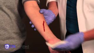 How to Stop Bleeding and Apply Bandages [upl. by Natsrik971]