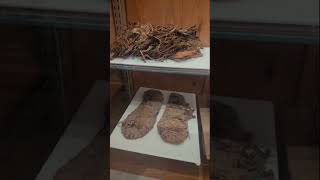 Dan Dillman Family Treasures on Display at Kanab Museum [upl. by Aitnahs]