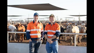 Australias Largest Beef Feedlot with Mort amp Co  This is Aussie Ag [upl. by Ravaj]