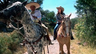 Paseo a CABALLO para PRINCIPIANTES  ALMA Coronel [upl. by Kyrstin]